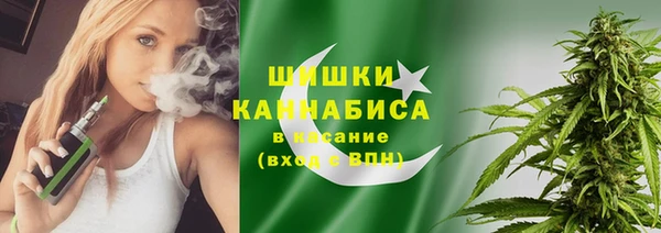 шишки Абинск